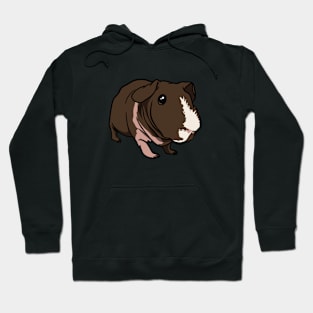 Loghan The Ark Piggie Hoodie